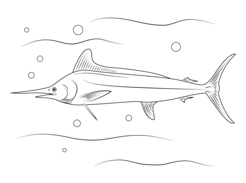 White Marlin Coloring Page